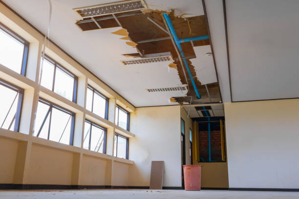 Best 24-hour water damage restoration  in Hinesville, GA