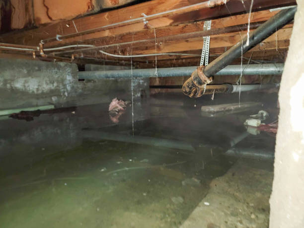 Best Commercial water damage restoration  in Hinesville, GA