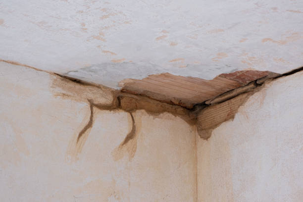 Best Fire Damage Restoration  in Hinesville, GA