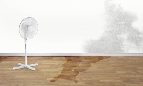 Best Flooded house restoration  in Hinesville, GA