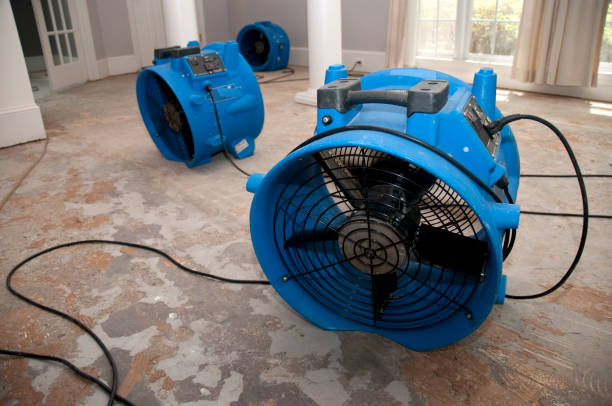 Best Mold removal after water damage  in Hinesville, GA