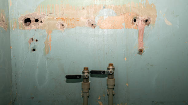 Best Water damage contractors near me  in Hinesville, GA