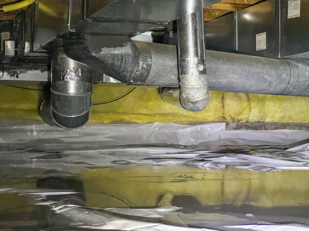 Best Flood restoration services  in Hinesville, GA