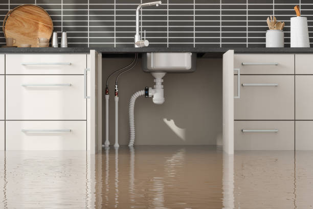 Best Water damage restoration near me  in Hinesville, GA