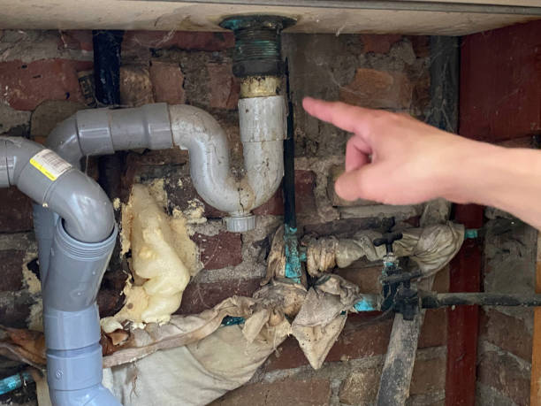 Best Water damage mitigation services  in Hinesville, GA